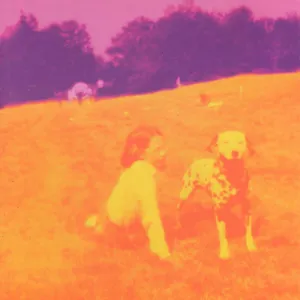 Blinking lights and other revelations